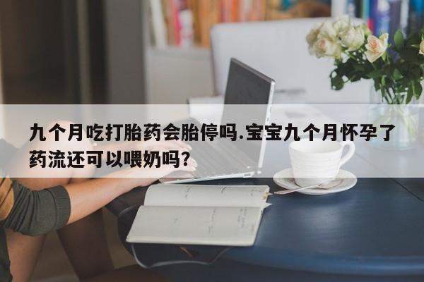咨询购买正品米非司酮片九个月吃打胎药会胎停吗.宝宝九个月怀孕了药流还可以喂奶吗？