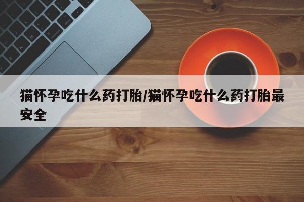 咨询购买正品米非司酮片猫怀孕吃什么药打胎/猫怀孕吃什么药打胎最安全