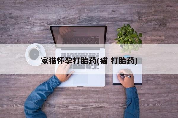 咨询购买正品米非司酮片家猫怀孕打胎药(猫 打胎药)
